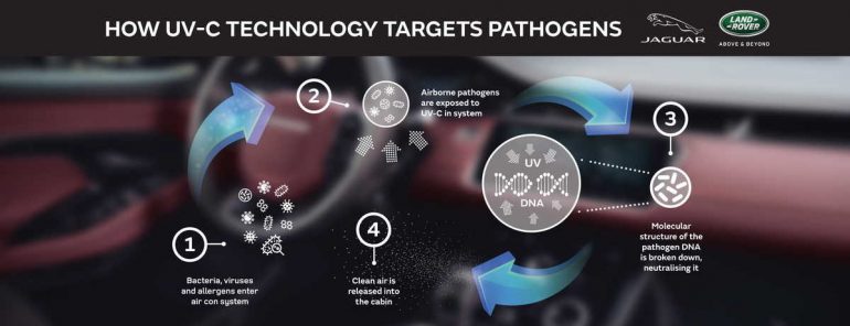 jlrpathogensinfographic21