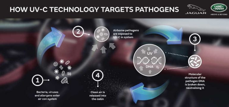 jlrpathogensinfographic21